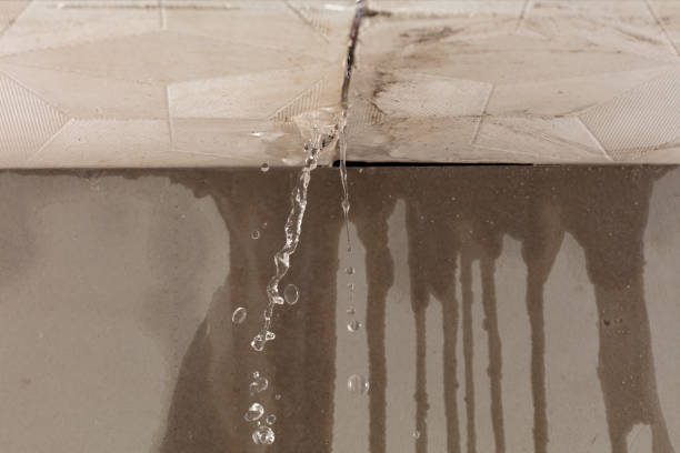 Professional Flood Damage Cleanup technician working in Sherwood, OH